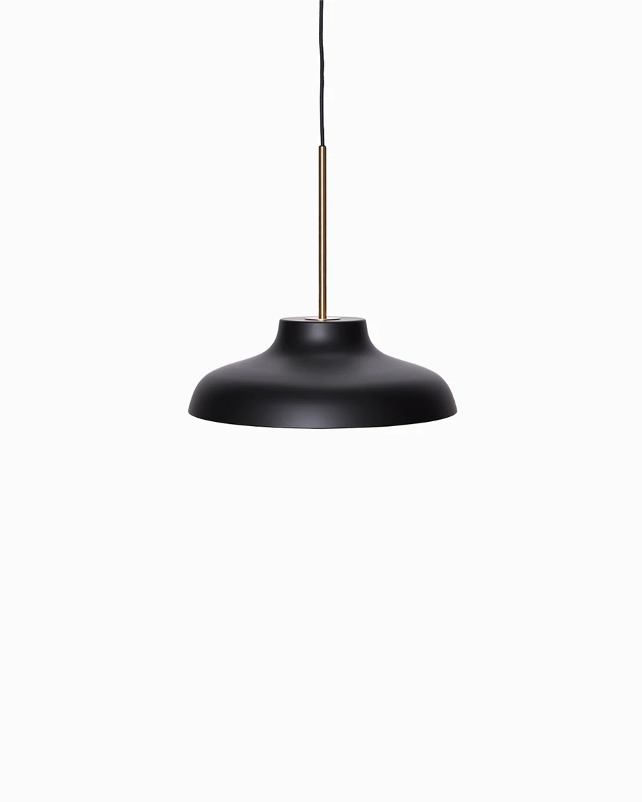 Original reference photograph of Black and brass pendant
