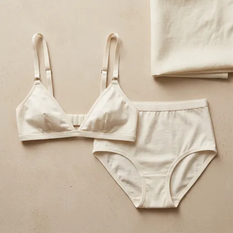 AI-generated fictional underwear demonstration: overhead / flat lay