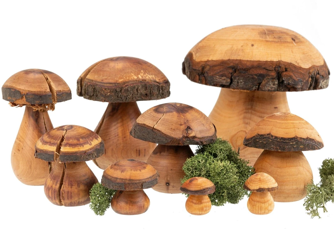 Original reference photograph of Turned alder mushrooms